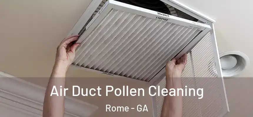  Air Duct Pollen Cleaning Rome - GA