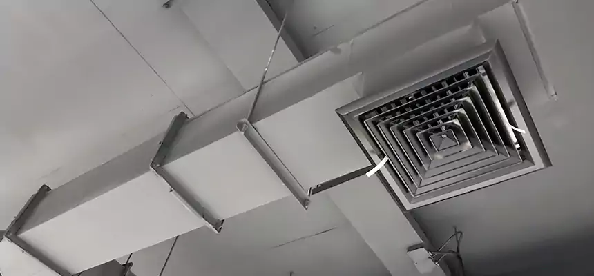 Our Rodent Droppings In Vents Services in Rome, GA