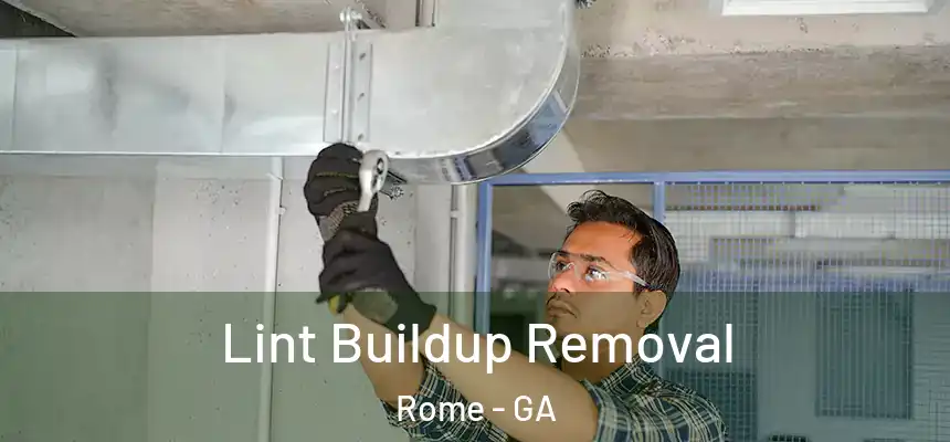  Lint Buildup Removal Rome - GA