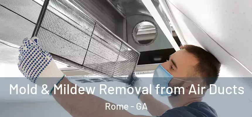  Mold & Mildew Removal from Air Ducts Rome - GA