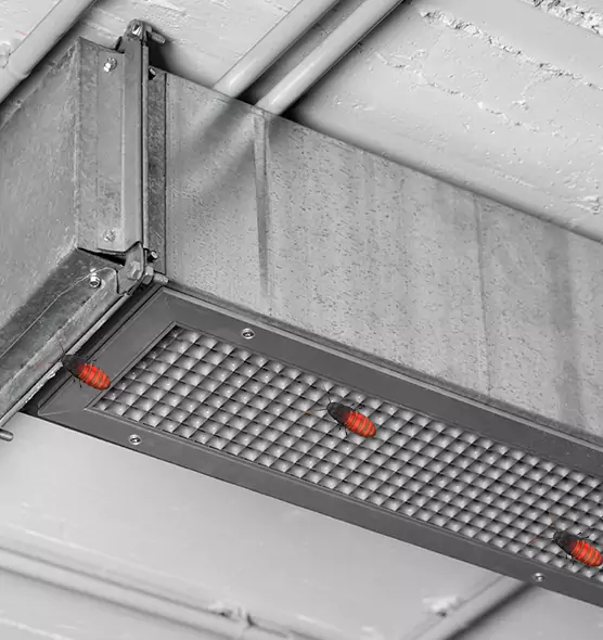 About Air Duct Cockroach Removal in Rome, GA