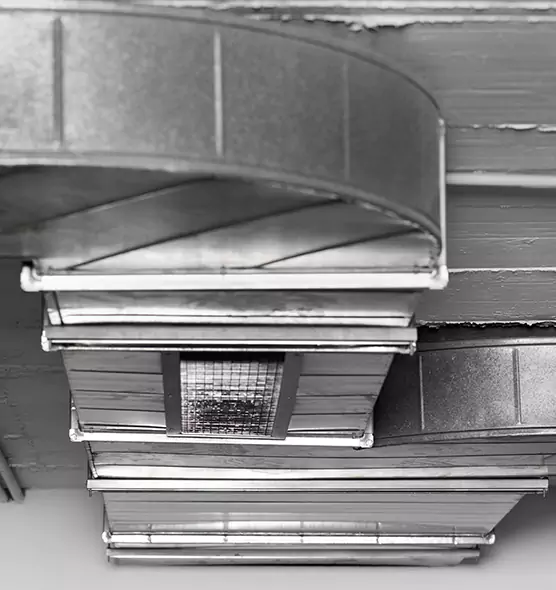 Professional Air Duct Pest Removal in Rome, GA