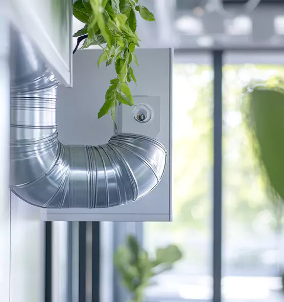 Professional Eco-Friendly Duct Cleaning Services in Rome, GA