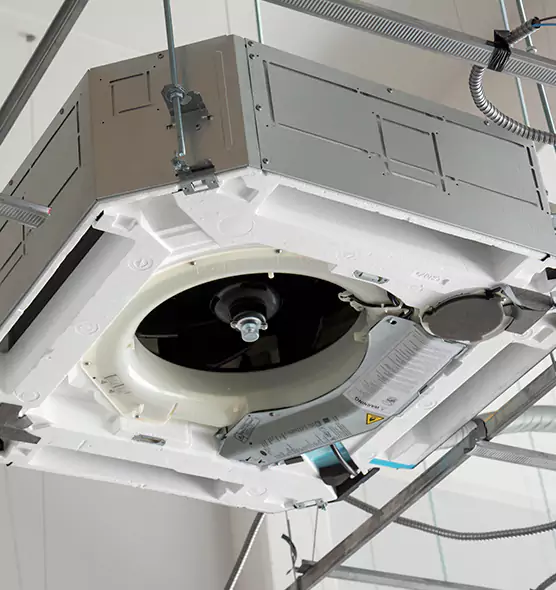 Professional Roof Vent Lint Removal Rome, GA