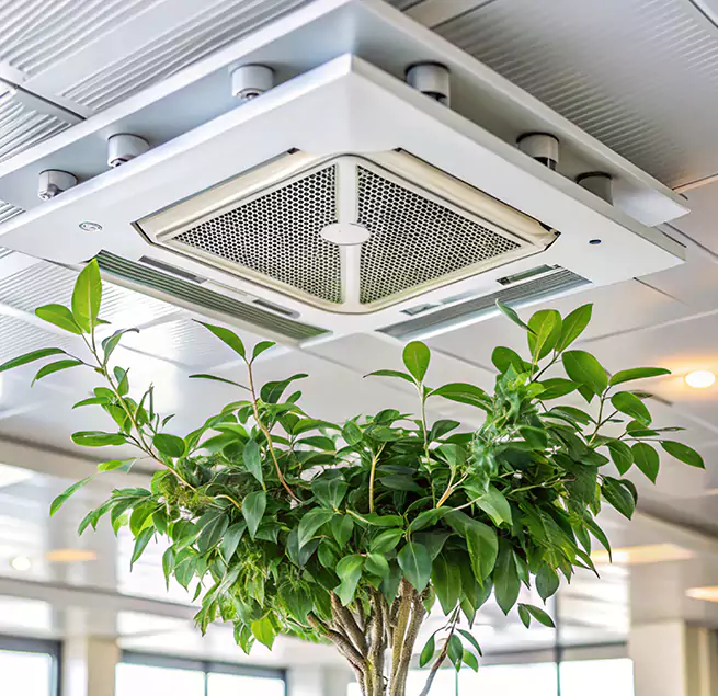 Why Homeowners & Businesses Trust Us in Rome, GA?