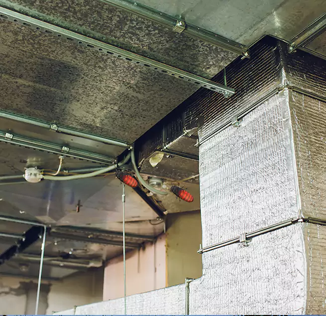 Why Homeowners & Businesses Trust Us Rome, GA?