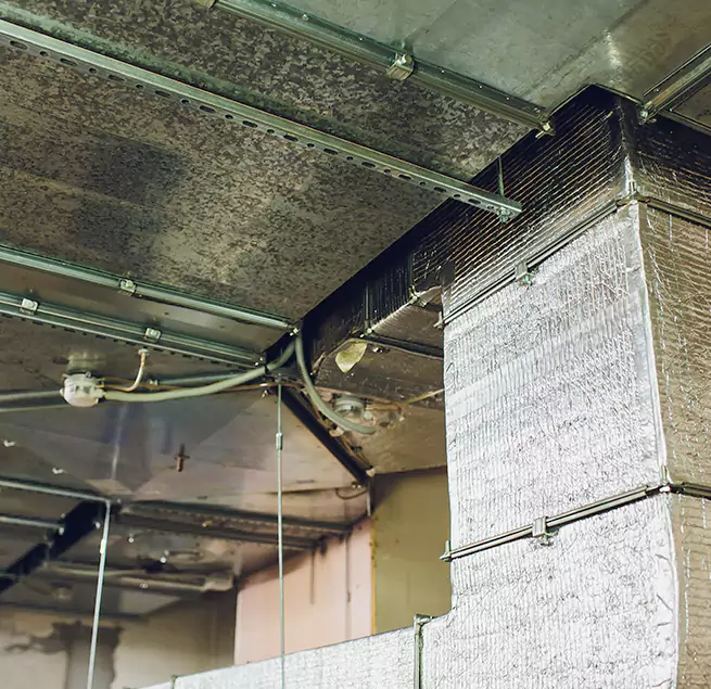 Why Homeowners & Businesses Trust Us in Rome, GA?